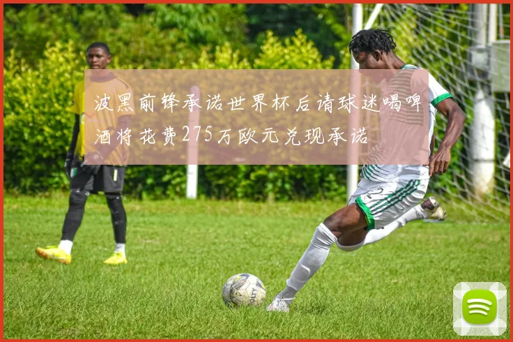 波黑前锋承诺世界杯后请球迷喝啤酒将花费275万欧元兑现承诺